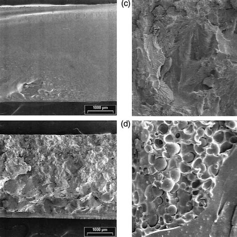 A Sem Micrograph Of Fracture Surface Of The Neat Epoxy Resin B