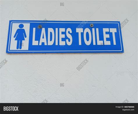 Ladies Toilet Sign Image & Photo (Free Trial) | Bigstock