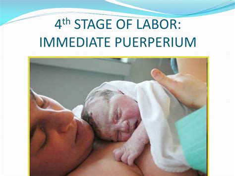 Ppt Lecture 5 Phases Of Parturition Stages Of Labor Mechanism Of