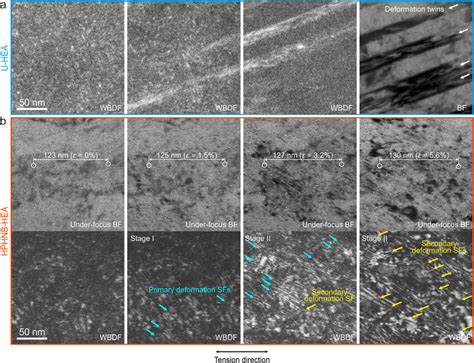 In Situ Tem Tensile Tests On U Hea And Hphnb Hea A Sequential