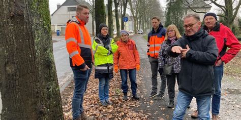 Radwege an der Hülsstraße werden saniert Welche Bäume müssen weichen