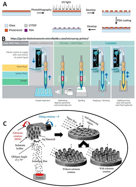 Biomolecules Free Full Text Recent Progress In Development And Application Of Dna Protein