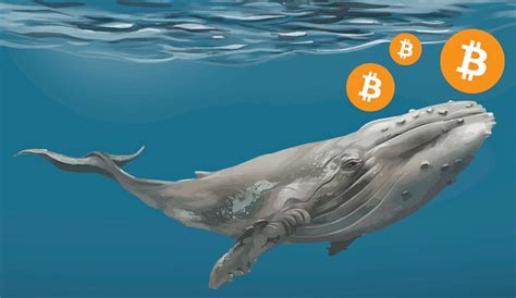 Bitcoin Whale Transfers 105 Million Worth Of Crypto Btc Trading At 15800 Nairametrics