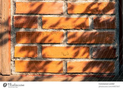 Backsteinmauer Im Fachwerk Mit Schatten Von Bl Ttern Ein Lizenzfreies