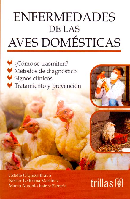 Enfermedades Comunes En Aves Dom Sticas Una Gu A Para Su Prevenci N Y