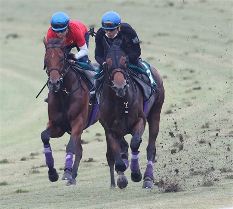 【日曜の注目新馬】ロードマンハイム、1週前にハードに追われて動きに滑らかさ和田竜二騎手とのコンビで初陣から スポーツ報知