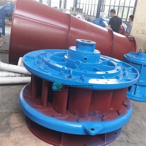 China Alternative Free Energy 350kw Kaplan Water Turbine Hydro