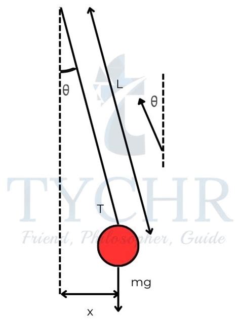 IBDP Physics Chapter 4 Notes | Tychr