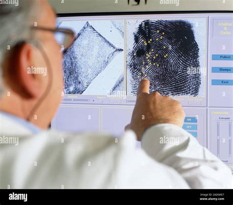 fingerprint analysis forensic scientist pointing  fingerprints