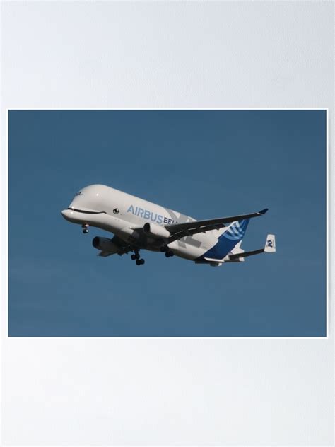 The Airbus Beluga Xl Poster For Sale By Anndixon Redbubble