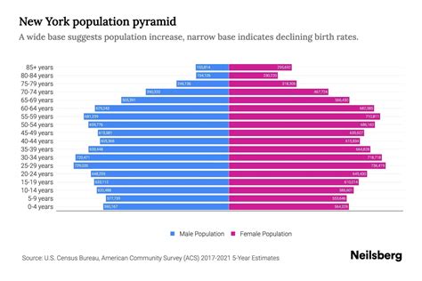 New York Population By Age 2023 New York Age Demographics Neilsberg