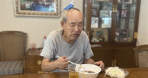 【新nisaにも役立つ】資産18億円！ 87歳・現役トレーダーが大切にする言葉とは？ 87歳、現役トレーダー シゲルさんの教え 資産18億円を築いた「投資術」 ダイヤモンド・オンライン