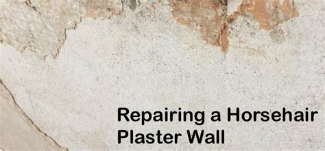 NYC Guide: Mastering Horsehair Plaster Wall Paint with Pristine