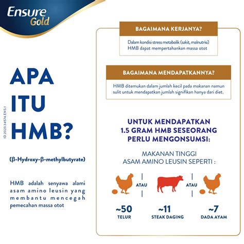 Jual Ensure Gold Hmb Cokelat G Nutrisi Dewasa Rendah Laktosa