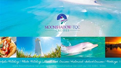 Moonshadow Tqc Dolphin And Whale Watching Cruises Port Stephens