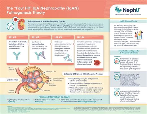 Nefecon In IgA Nephropathy The Nefigard Trial NephJC