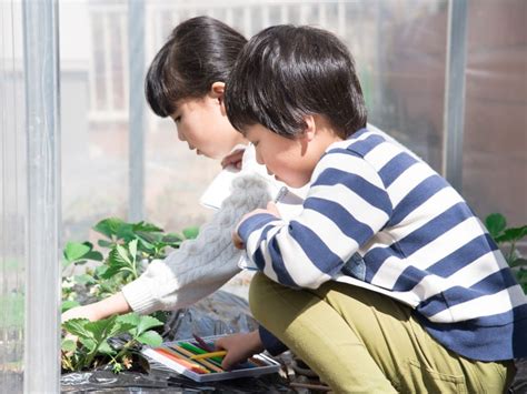 【2025年夏休み】小学校高学年におすすめの「自由研究キット」人気ランキング10選！