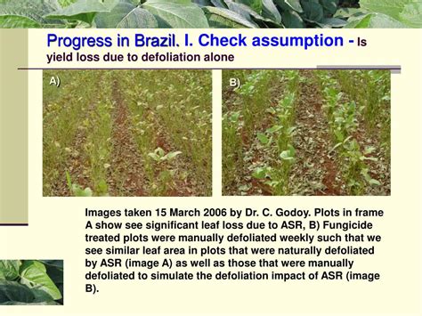 Ppt Yield Loss Prediction Tool For Field Specific Risk Management Of