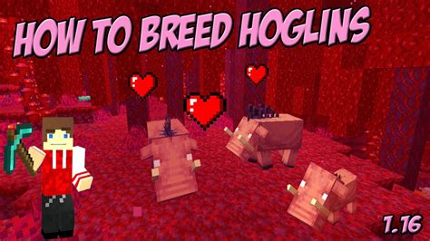 How To Breed Hoglins In Minecraft Youtube