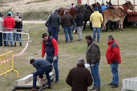 Fotos Feria de San Andrés en Turégano El Norte de Castilla