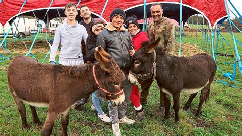 Weihnachtszirkus in Bad Dürrheim Manege frei für Artisten und Tiere