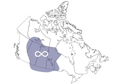 Court dispute between First Nations and Métis Nation of Ontario ...