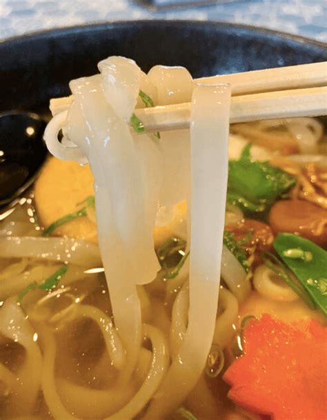 11 Types Of Udon From 11 Prefectures To Try Besides The Sanuki Udon