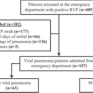 Patients With Pure Viral Pneumonia Or Mixed Viralbacterial Infection