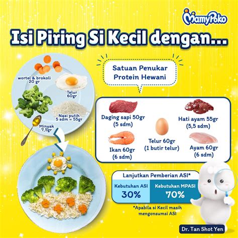 Piring Si Kecil Usia 12 23 Bulan MamyPoko Indonesia