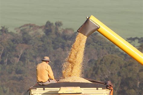 Conab Retoma Pol Tica De Estoques P Blicos De Alimentos Paran Portal