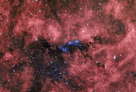 NGC 6914 Reflection Nebula complex in Cygnus Νεφελώματα AstroVox