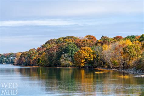 Lead Mills Foliage Marblehead Ma