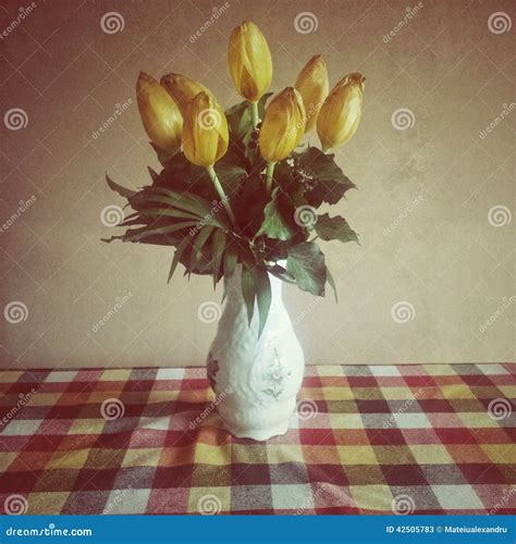 Gelbe Tulpen in Einem Weißen Vase Auf Einer Karierten Tabelle Stockbild