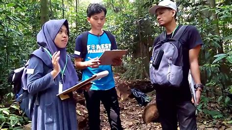 Sumber Benih Tanaman Hutan Praktik Lapangan CIFOR 1 YouTube