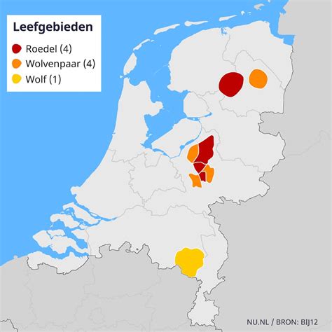 Nederland Telt Nu Negen Gebieden Waar Wolven Territorium Hebben