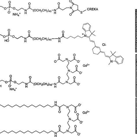 Molecular Structure Of A DSPE PEG2000 CREKA Top DSPE PEG2000 Cy7