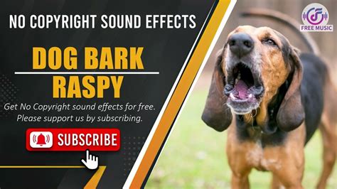 Dog Bark Raspy Sound Effects (free sound effect with download link)