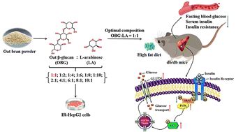 Oat Glucan And L Arabinose Synergistically Ameliorate Glucose Uptake