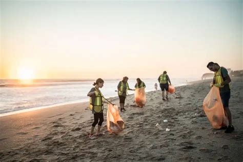 30,000+ Beach Cleanup Pictures | Download Free Images on Unsplash