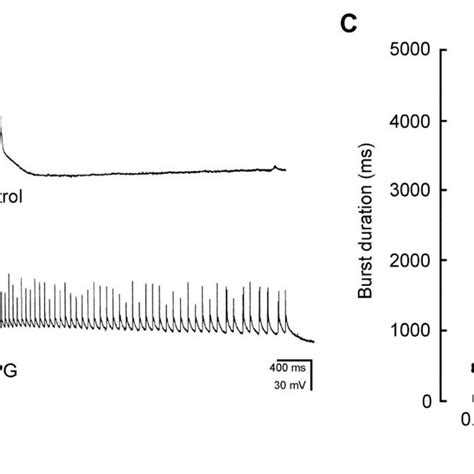 Group I MGluR Model Of Epileptogenesis Activation Of Group I MGluRs