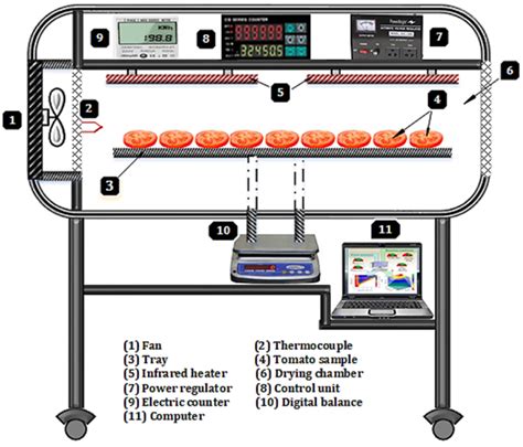 Schematic Diagram Showing The Infrared Dryer Download Scientific Diagram