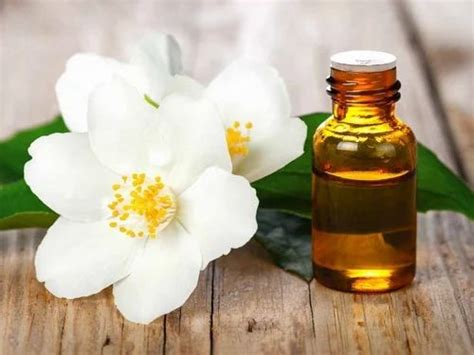 Jasmin Flowers Grandiflora Jasmine Absolute Essential Oil At