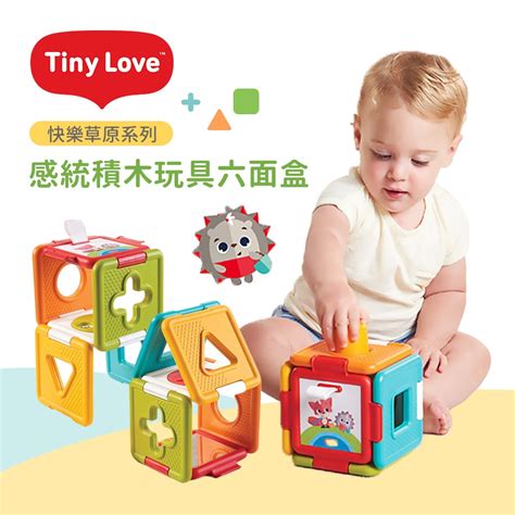 Tiny Love 美國 感統積木玩具 六面盒 快樂草原 感統玩具 組合玩具 蝦皮購物