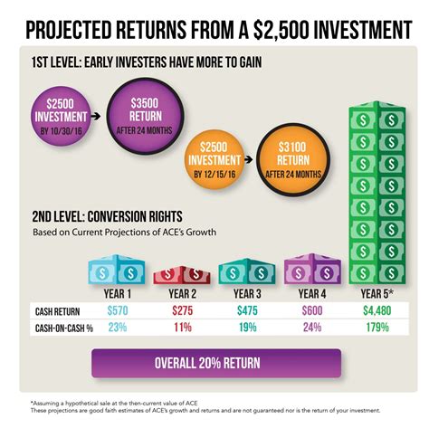 Investment Returns Projection Infographic - Andiamo Creative