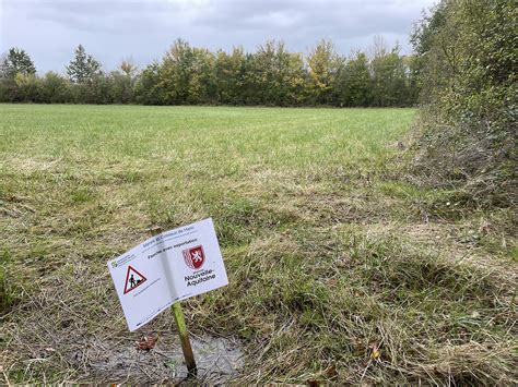 Fauche Avec Exportation Des Prairies Humides Sur Le Marais De Clussais