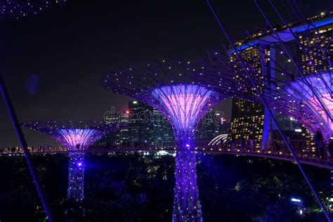 Gardens by the Bay, Singapore, Night Light Show Stock Image - Image of ...