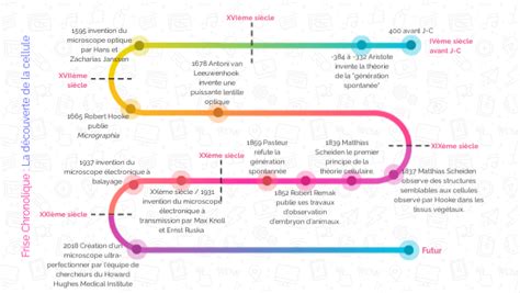 Frise Chronologique La découverte de la cellule