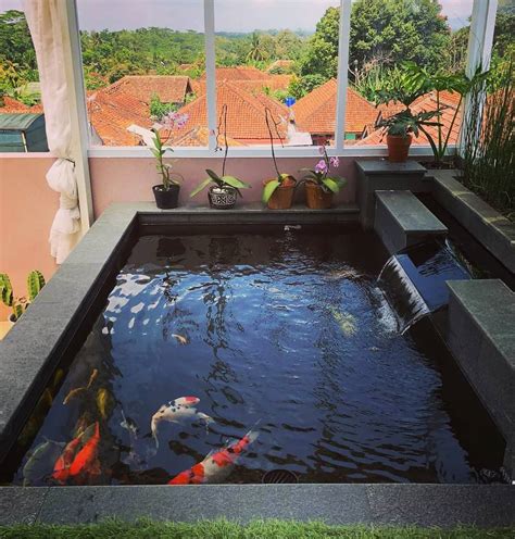 Jasa Pembuatan Kolam Ikan Koi Di Sidoarjo Terbaik Tahun Ini