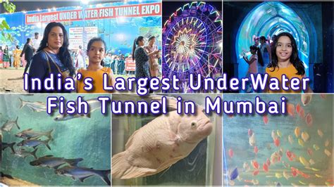 Largest Underwater Fish Tunnel In Mumbai Shwetusdiary Youtube