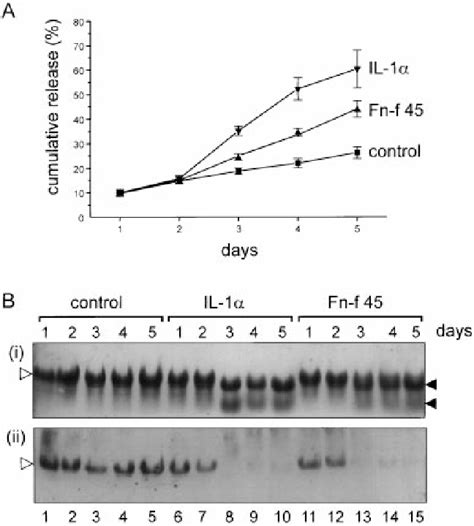 Figure 1 From The 45 Kda Collagen Binding Fragment Of Fibronectin